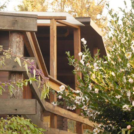 Eco-Resort Parco Botanico Fiorlago 满哥索 外观 照片