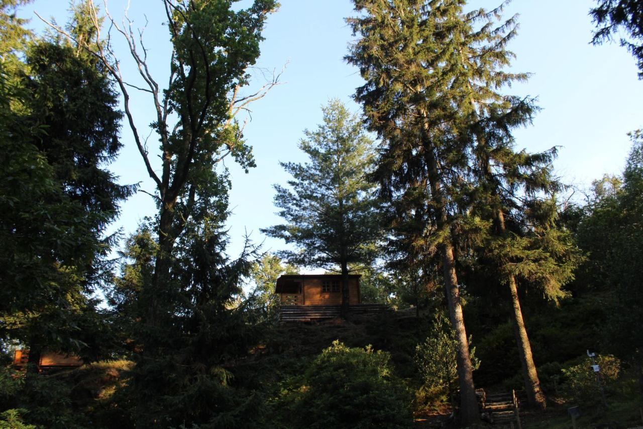 Eco-Resort Parco Botanico Fiorlago 满哥索 外观 照片