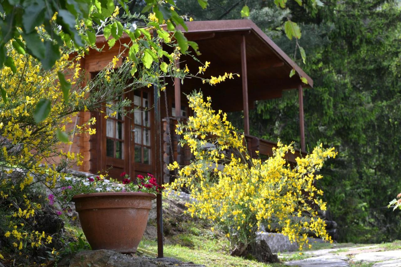 Eco-Resort Parco Botanico Fiorlago 满哥索 外观 照片
