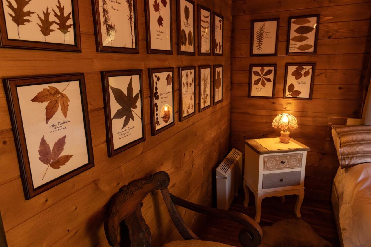 Eco-Resort Parco Botanico Fiorlago 满哥索 外观 照片