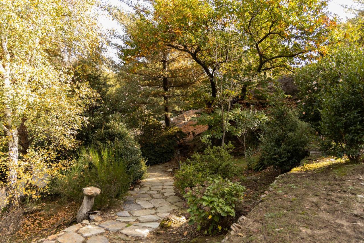 Eco-Resort Parco Botanico Fiorlago 满哥索 外观 照片