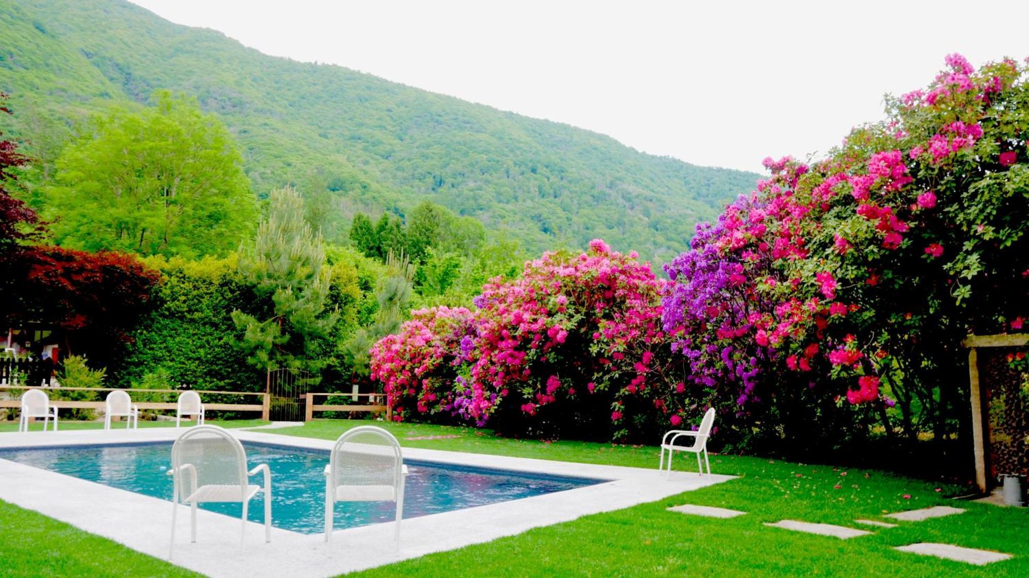 Eco-Resort Parco Botanico Fiorlago 满哥索 外观 照片